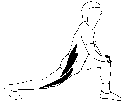 stretching ballistique david bonnel